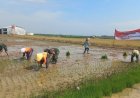 TNI dan Petani Bersatu Padu Tingkatkan Ketahanan Pangan Desa Godo