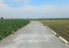 Jalan Beton TMMD Kodim Pati Rampung, Petani Desa Godo Bisa Bernapas Lega