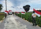 Jelang Penutupan TMMD ke-128 Kodim Pati, Warga dan Satgas Gotong Royong Percantik Desa Godo